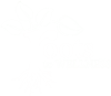 Roots to Wellness